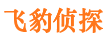 长宁市私家侦探